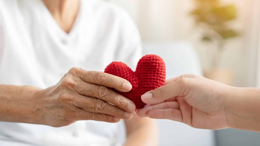 Video still: a Seniors Helping Seniors® Caregiver with a client at home